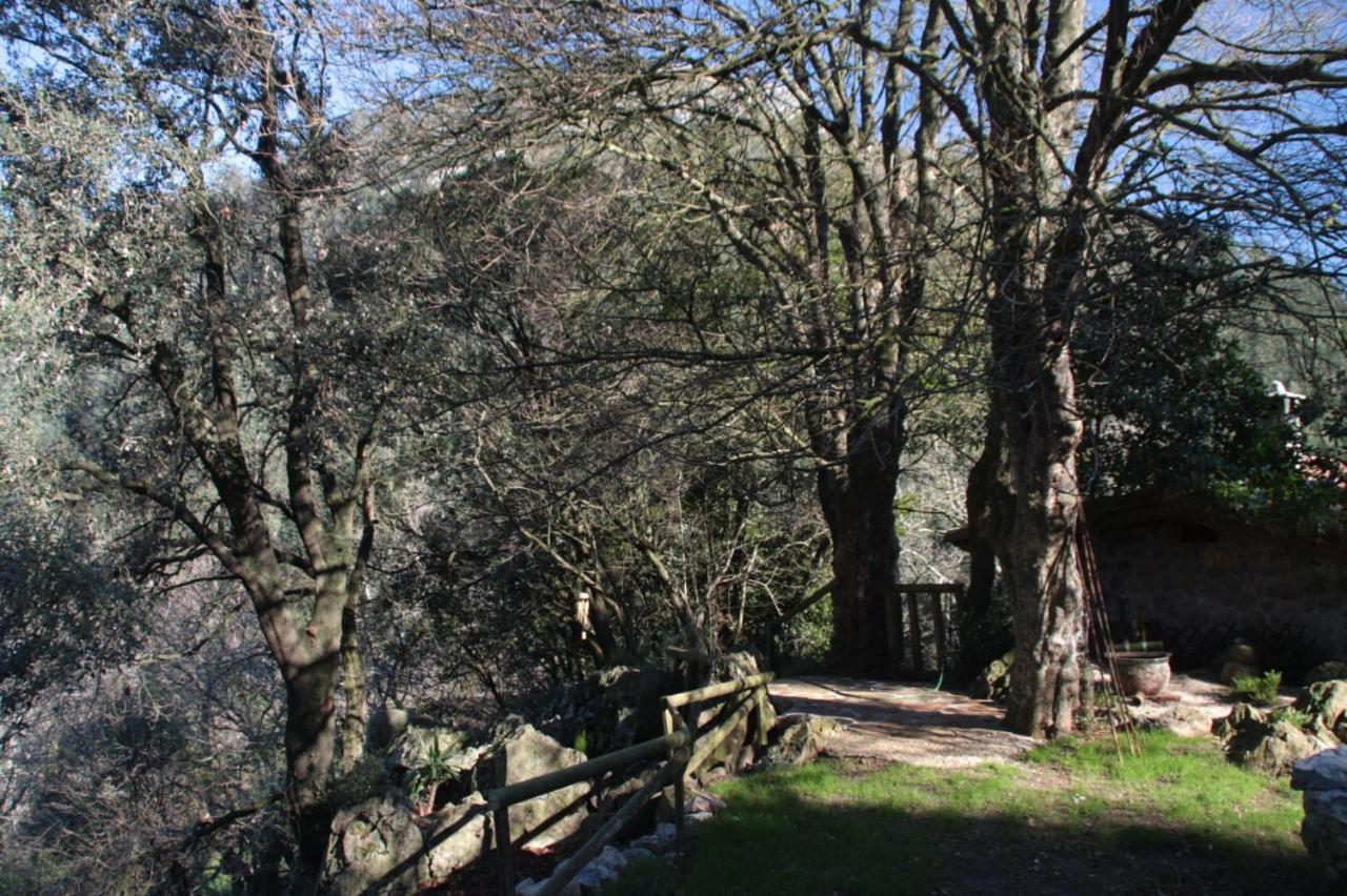 DomoCantabria Sobremazas Exterior foto